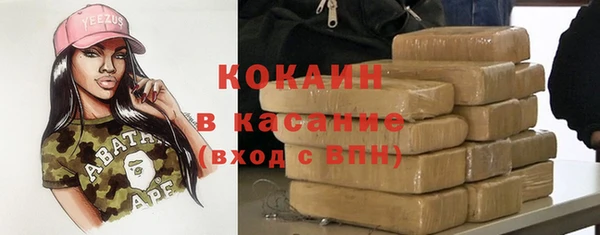 дживик Белокуриха