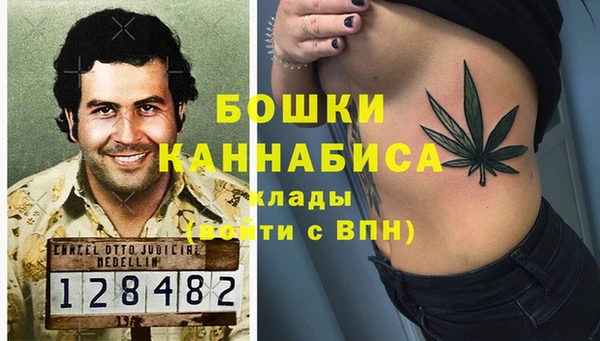дживик Белокуриха